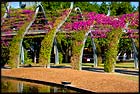 South Bank, Brisbane, QLD, Australia