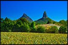 Glass House Mountain National Park, QLD, Australia