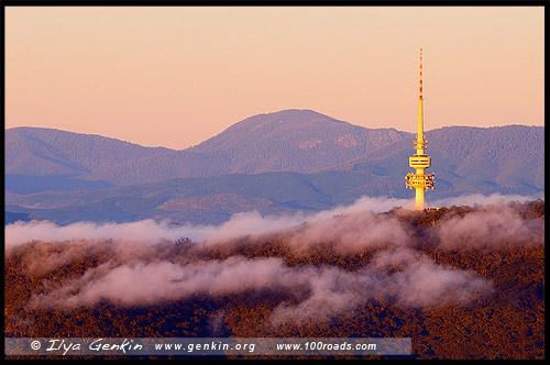 Вид с горы Эйнсли, View from Mount Ainslie, Черная гора, Black Mountain, Башня Черной Горы, Black Mountain Tower, Башня Телстра, Telstra Tower, Канберра, Canberra, Австралийская столичная территория, ACT, Австралия, Australia