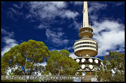 Черная гора, Black Mountain, Башня Черной Горы, Black Mountain Tower, Башня Телстра, Telstra Tower, Канберра, Canberra, Австралийская столичная территория, ACT, Австралия, Australia