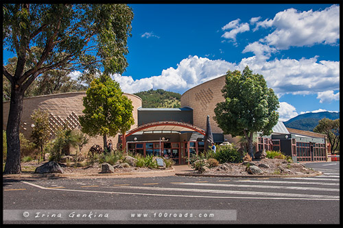 Заповедник Тидбинбилла, Tidbinbilla Nature Reserve, Канберра, Canberra, Австралийская столичная территория, ACT, Австралия, Australia