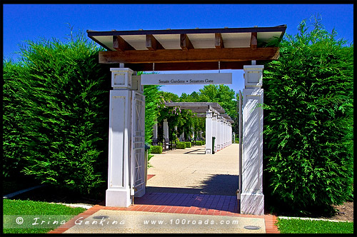 Сад Сената, Senate Gardens, Национальный Розовый сад, National Rose Garden, Старый Дом правительства, Old Parliament House, Канберра, Canberra, Австралийская столичная территория, ACT, Австралия, Australia