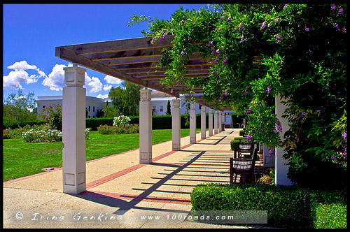 Сад Сената, Senate Gardens, Национальный Розовый сад, National Rose Garden, Старый Дом правительства, Old Parliament House, Канберра, Canberra, Австралийская столичная территория, ACT, Австралия, Australia