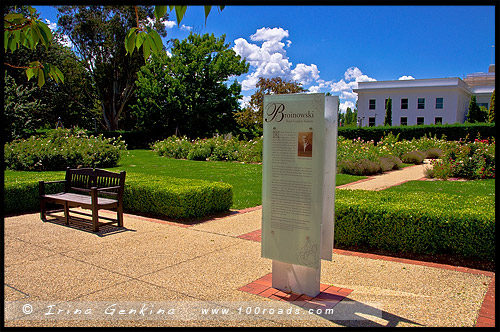 Сад Сената, Senate Gardens, Национальный Розовый сад, National Rose Garden, Старый Дом правительства, Old Parliament House, Канберра, Canberra, Австралийская столичная территория, ACT, Австралия, Australia