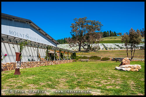 Винодельня горы Маджура, Mount Majura Vineyard, Канберра, Canberra, Австралийская столичная территория, ACT, Австралия, Australia