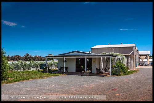 Винодельня Клонакилла, Clonakilla, Австралийская столичная территория, ACT, Австралия, Australia