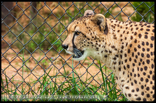 Национальный зоопарк и аквариум (National Zoo & Aquarium)