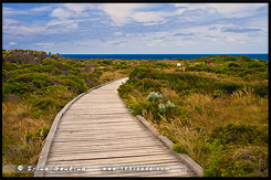 Великая Океанская Дорога, Great Ocean Road, Виктория, Victoria, VIC, Австралия, Australia