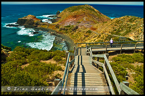 The Cape Schanck Lighthouse, Mornington Peninsula National Park, Victoria, Australia