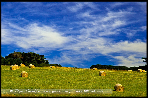 Полуостпов Монингтон, Mornington Peninsula, Виктория, Victoria, VIC, Австралия, Australia