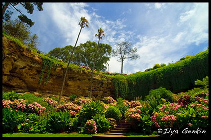 Umpherston Sinkhole, Cave Gardens, Маунт Гембер, Mount Gambier, Южная Австралия, South Australia, Австралия Australia