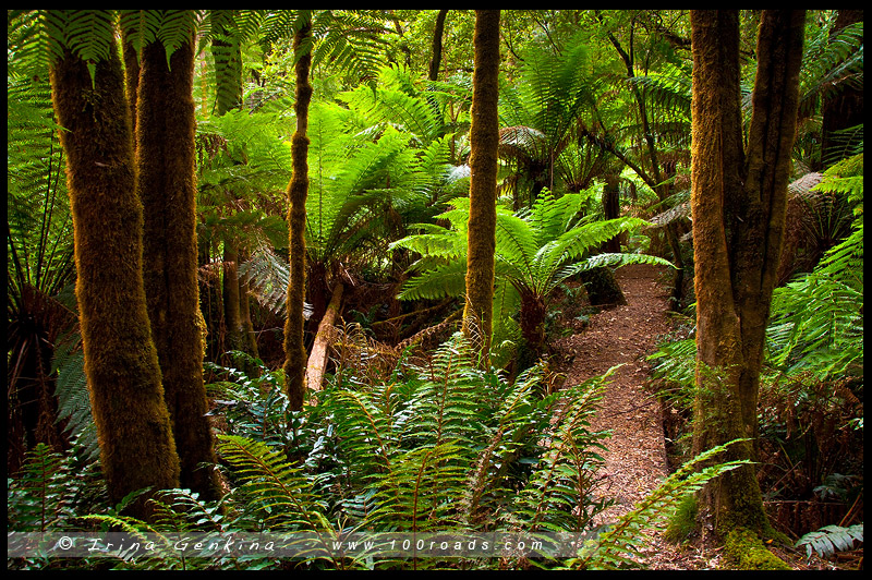 Великая Океанская Дорога, Great Ocean Road, Виктория, Victoria, VIC, Австралия, Australia