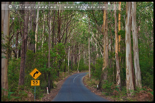Великая Океанская Дорога, Great Ocean Road, Виктория, Victoria, VIC, Австралия, Australia