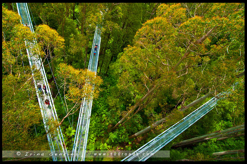 Великая Океанская Дорога, Great Ocean Road, Виктория, Victoria, VIC, Австралия, Australia