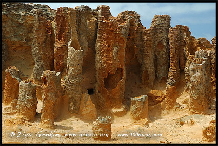 Петрифайд Форест, Petrified Forest, Великая Океанская Дорога, Great Ocean Road, Victoria, Australia