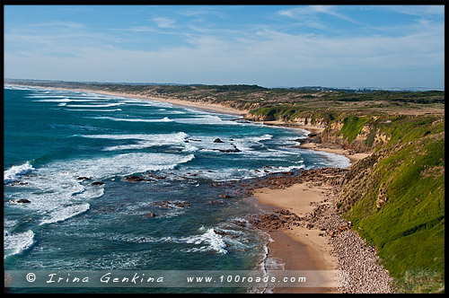 Остров Филлипа, Phillip Island, Виктория, Victoria, VIC, Австралия, Australia