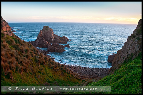 Остров Филлипа, Phillip Island, Виктория, Victoria, VIC, Австралия, Australia