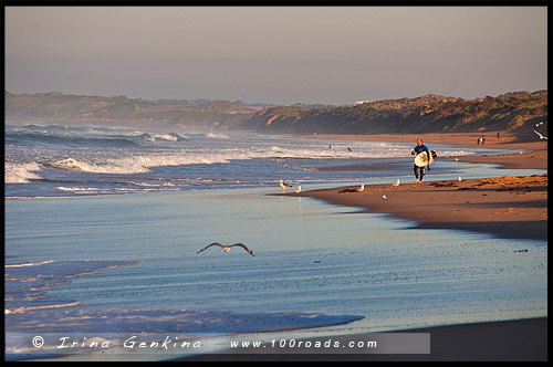 Остров Филлипа, Phillip Island, Виктория, Victoria, VIC, Австралия, Australia