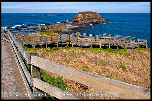 Остров Филлипа, Phillip Island, Виктория, Victoria, VIC, Австралия, Australia