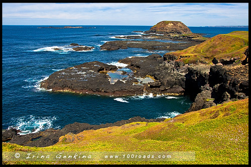 Остров Филлипа, Phillip Island, Виктория, Victoria, VIC, Австралия, Australia