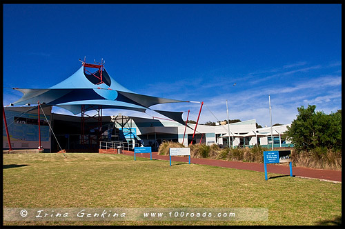 Остров Филлипа, Phillip Island, Виктория, Victoria, VIC, Австралия, Australia