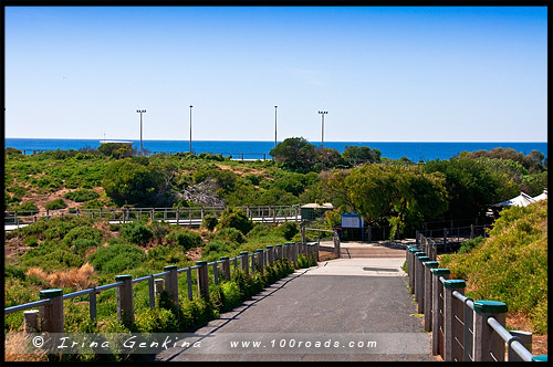 Остров Филлипа, Phillip Island, Виктория, Victoria, VIC, Австралия, Australia