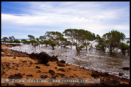 Тенби Поинт, Tenby Point, Виктория, Victoria, VIC, Австралия, Australia