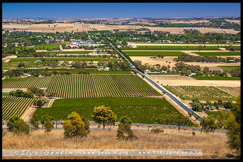 Долина Баросса, Barossa Valley, Аделаида, Adelaide, Южная Australia, South Australia, Австралия, Australia