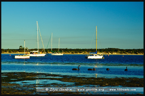 American River Camping Ground, Остров Кенгуру, Kangaroo Island, Южная Australia, South Australia, Австралия, Australia