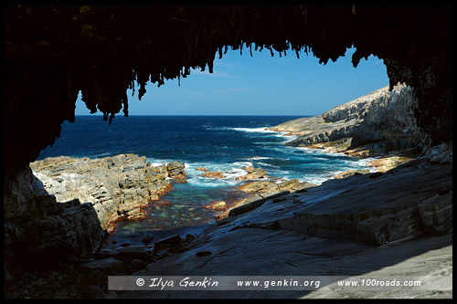 Адмиральская арка (Admirals Arch), Остров Кенгуру, Kangaroo Island, Южная Australia, South Australia, Австралия, Australia