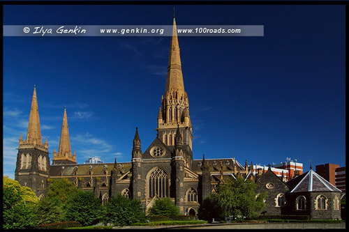 Собор Святого Патрика, St Patrick’s Catholic Cathedral, Мельбурн, Melbourne, Австралия, Australia