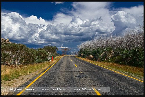 Национальный парк Горы Баффало, Mt Buffalo NP, Виктория, Victoria, Австралия, Australia