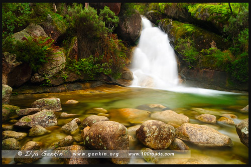 Водопад Женская Ванна, Ladies Bath Falls, Национальный парк Горы Баффало, Mt Buffalo NP, Виктория, Victoria, Австралийские Альпы, Australian Alps, Австралия, Australia