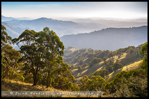 Закат, Парк Баррингтон Топс, Barrington Tops NP, Новый Южный Уэльс, NSW, Австралия, Australia