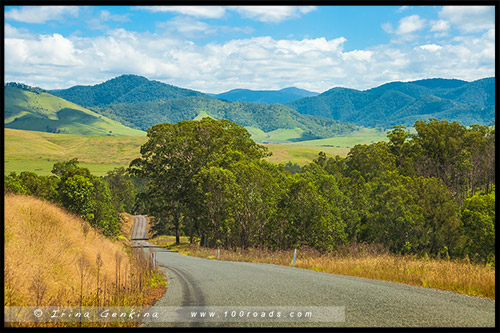 Парк Баррингтон Топс, Barrington Tops NP, Новый Южный Уэльс, NSW, Австралия, Australia