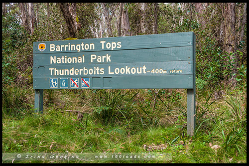 Парк Баррингтон Топс, Barrington Tops NP, Новый Южный Уэльс, NSW, Австралия, Australia