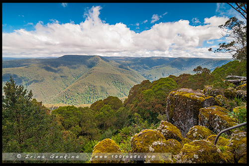 Парк Баррингтон Топс, Barrington Tops NP, Новый Южный Уэльс, NSW, Австралия, Australia