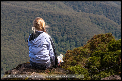 Парк Баррингтон Топс, Barrington Tops NP, Новый Южный Уэльс, NSW, Австралия, Australia