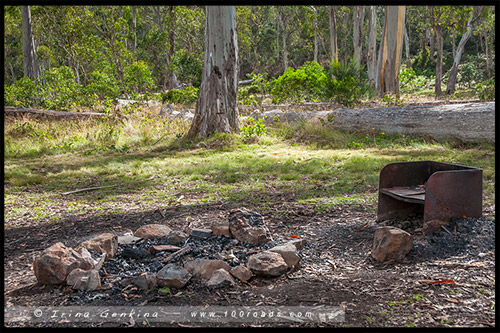 Парк Баррингтон Топс, Barrington Tops NP, Новый Южный Уэльс, NSW, Австралия, Australia