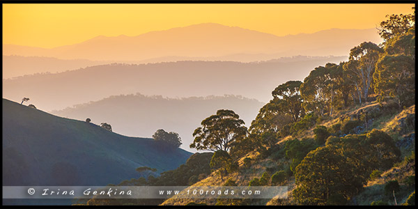 Парк Баррингтон Топс, Barrington Tops NP, Новый Южный Уэльс, NSW, Австралия, Australia