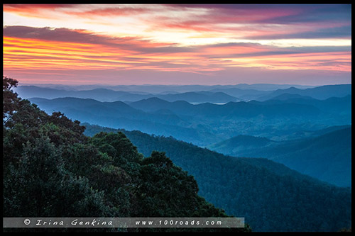 Парк Баррингтон Топс, Barrington Tops NP, Новый Южный Уэльс, NSW, Австралия, Australia