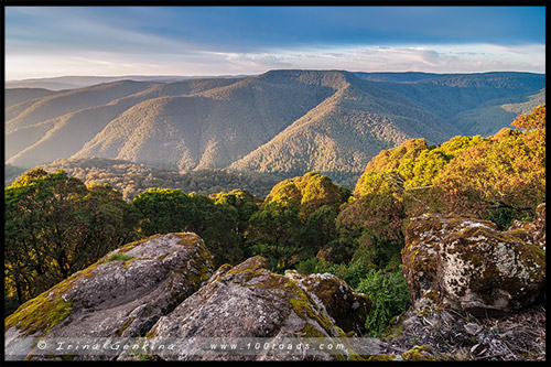 Парк Баррингтон Топс, Barrington Tops NP, Новый Южный Уэльс, NSW, Австралия, Australia