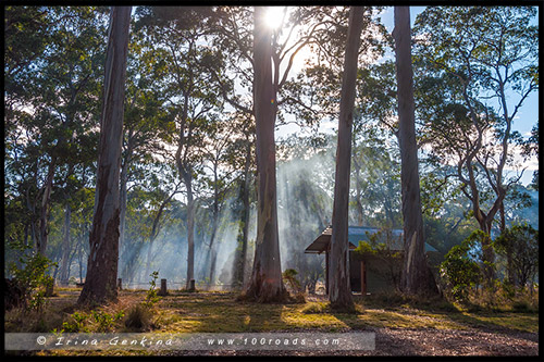 Парк Баррингтон Топс, Barrington Tops NP, Новый Южный Уэльс, NSW, Австралия, Australia