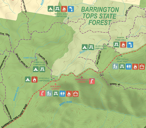 Парк Баррингтон Топс, Barrington Tops NP, Новый Южный Уэльс, NSW, Австралия, Australia