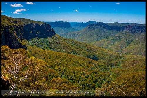 Блэкхит, Blackheath, Голубые Горы, Blue Mountains, Новый Южный Уэльс, NSW, Австралия, Australia