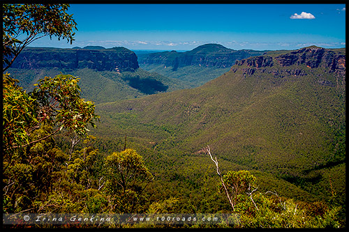 Блэкхит, Blackheath, Голубые Горы, Blue Mountains, Новый Южный Уэльс, NSW, Австралия, Australia