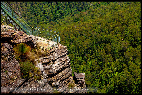 Блэкхит, Blackheath, Голубые Горы, Blue Mountains, Новый Южный Уэльс, NSW, Австралия, Australia