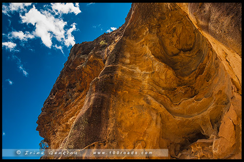 Блэкхит, Blackheath, Голубые Горы, Blue Mountains, Новый Южный Уэльс, NSW, Австралия, Australia