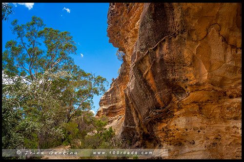 Блэкхит, Blackheath, Голубые Горы, Blue Mountains, Новый Южный Уэльс, NSW, Австралия, Australia