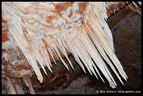 Пещеры Дженолан, Jenolan Caves, Голубые Горы, Blue Mountains, Новый Южный Уэльс, NSW, Австралия, Australia